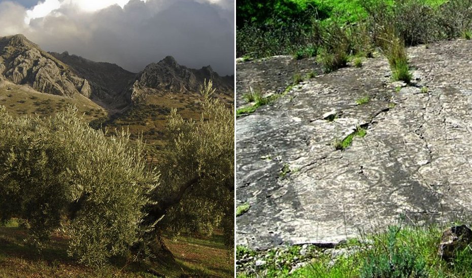 Promoción de espacios naturales de Córdoba y Sevilla en Fitur 2025