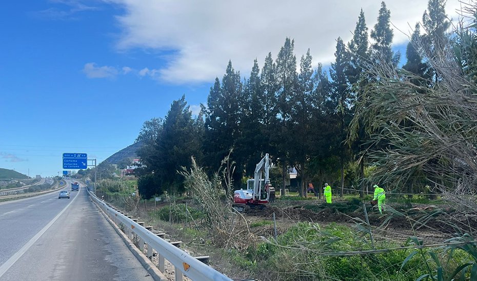 Una barrera vegetal reducirá el ruido en la carretera A-357 en Cártama
