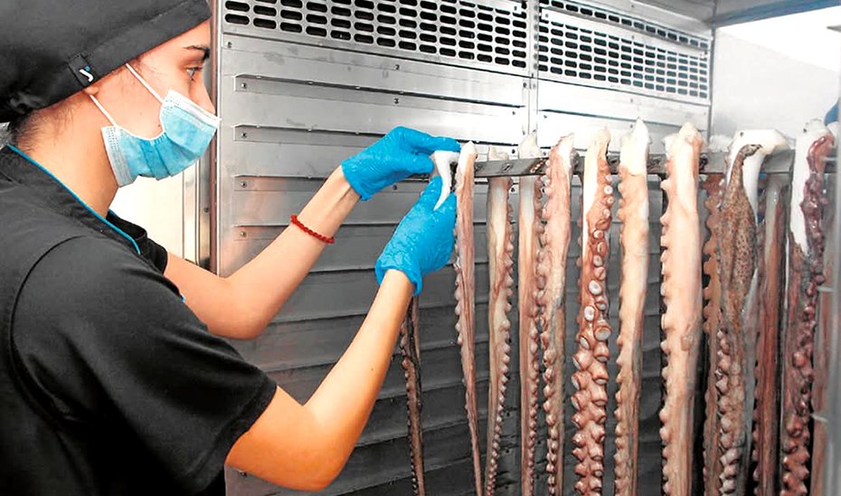 El reconocimiento europeo del ‘Pulpo Seco de Adra’ se espera para este verano.