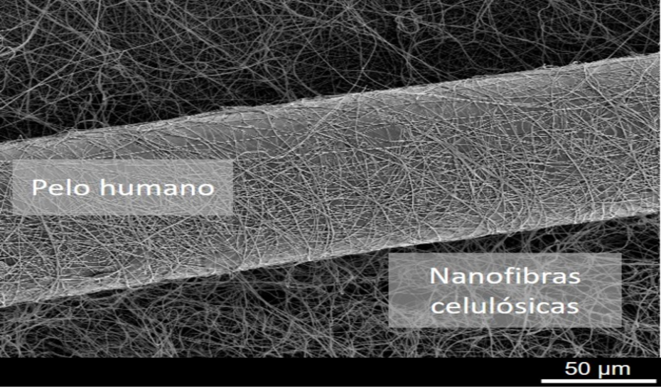 Researchers from the ‘Complex Fluid Engineering’ group at the University of Huelva (UHU) achieve sustainable lubricants from cellulose nanofibers
