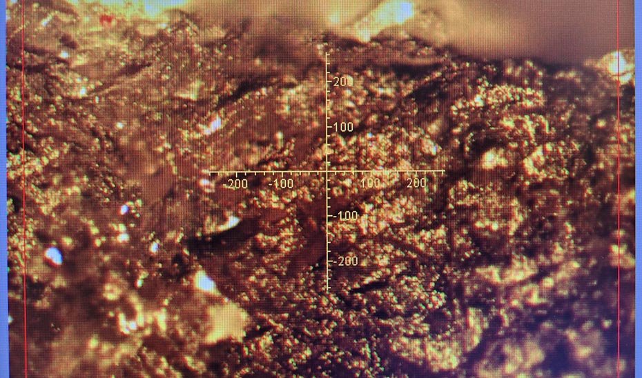 Desarrollan método con infrarrojos para mejorar seguridad alimentaria en atún