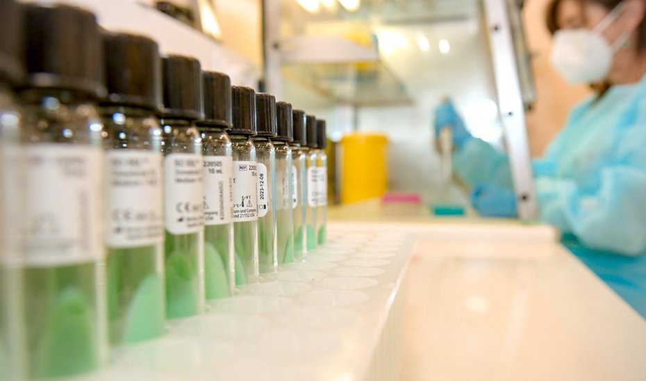 Dos nuevos casos de sarampión elevan a 49 el total en Andalucía, con seis brotes activos