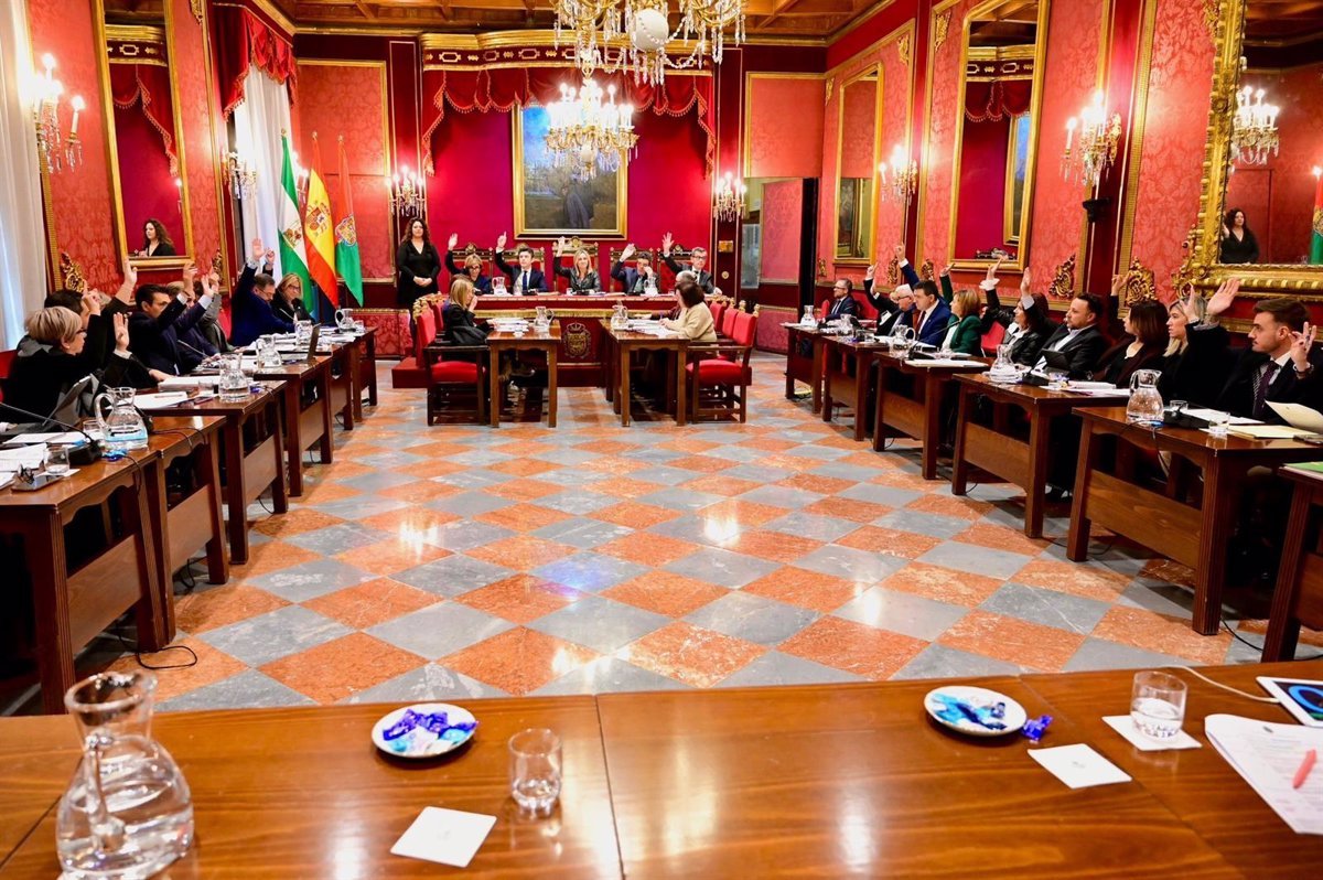 Granada se une a la Declaración de la FEMP por el Día de la Convención de derechos de personas con discapacidad