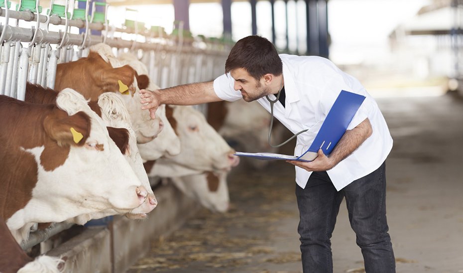 La Junta respalda a las Agrupaciones de Defensa Sanitaria Ganadera con 6,8 millones en ayudas