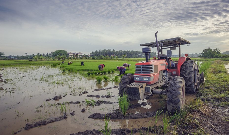 Solicitud de ampliación del plazo de la Solicitud Única 2025 y flexibilización en la PAC