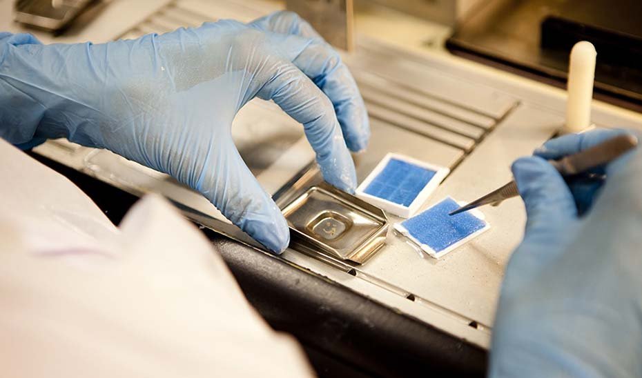 Biobanco de la sanidad andaluza, líder en líneas celulares pluripotentes humanas