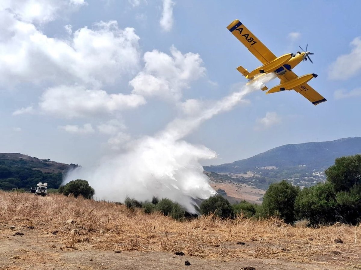 Finalizan los trabajos de extinción del incendio forestal en Beas de Granada.
