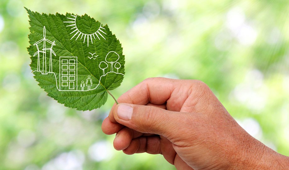 La Junta premia a líderes en sostenibilidad con los Premios Andalucía de Medio Ambiente