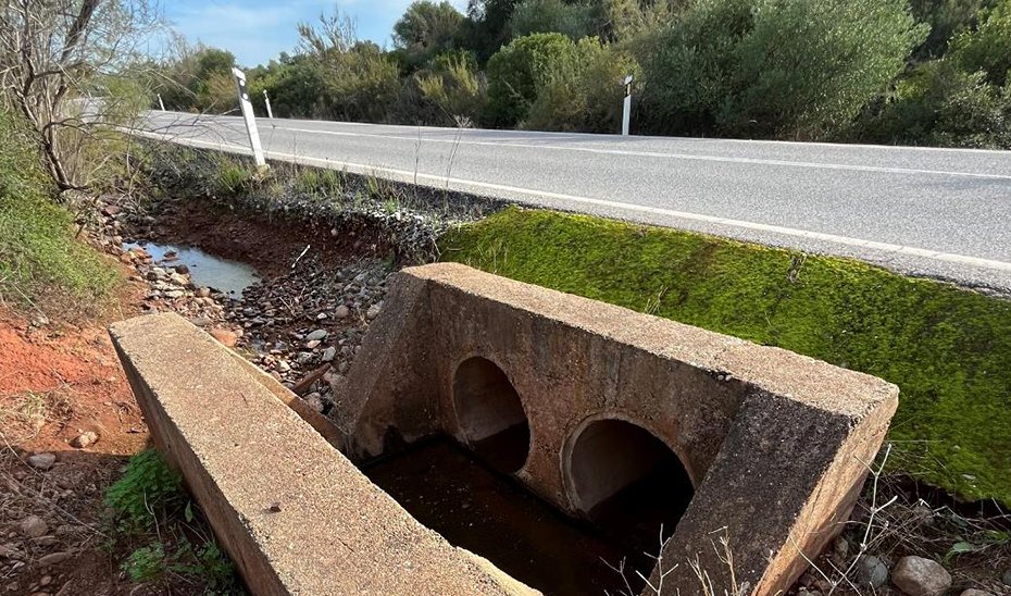 Mejoras en carreteras de Sevilla y Córdoba para proteger al lince ibérico.