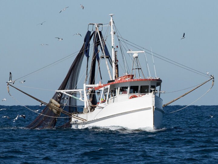 Andalucía urge convocatoria de Conferencia Sectorial de Pesca por futuro incierto de fondos europeos.