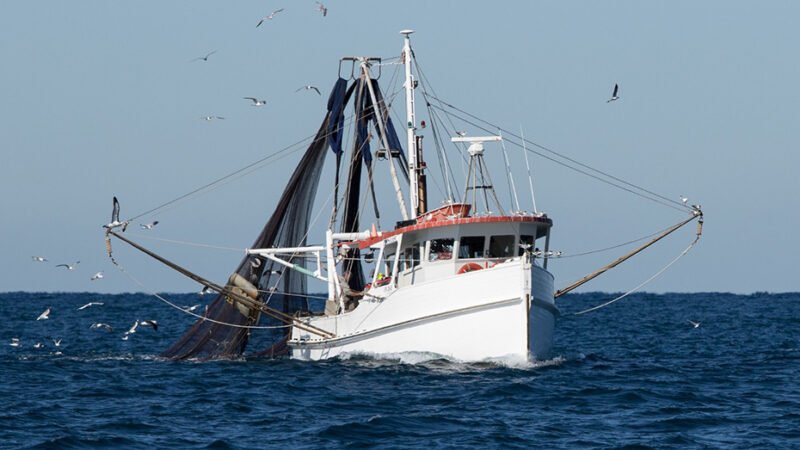 Andalucía urge convocatoria de Conferencia Sectorial de Pesca por futuro incierto de fondos europeos.
