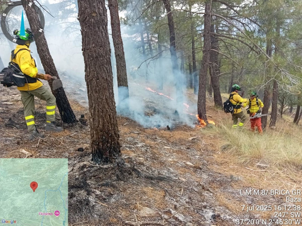 Controlado el incendio forestal en Arredondo, Baza (Granada)