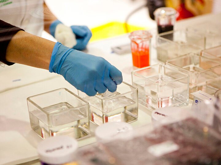 El Biobanco andaluz cede más de 10.200 muestras para investigación en salud