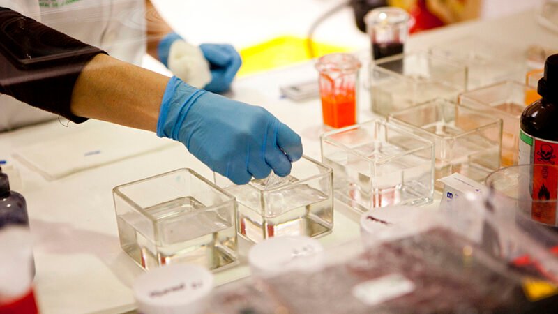 El Biobanco andaluz cede más de 10.200 muestras para investigación en salud