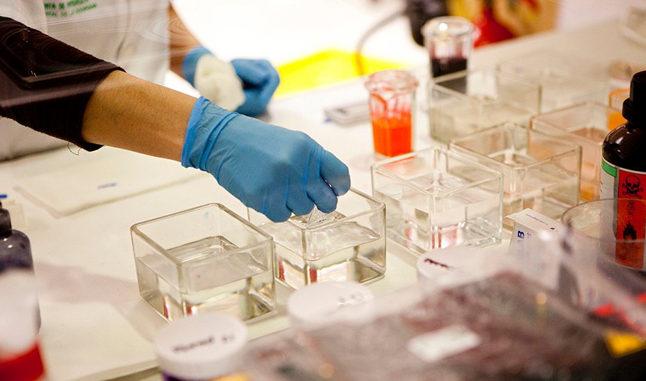El Biobanco andaluz cede más de 10.200 muestras para investigación en salud