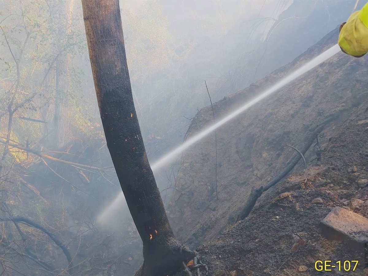 El incendio en Dúdar, Granada, está estabilizado tras intervención de medios terrestres y aéreos