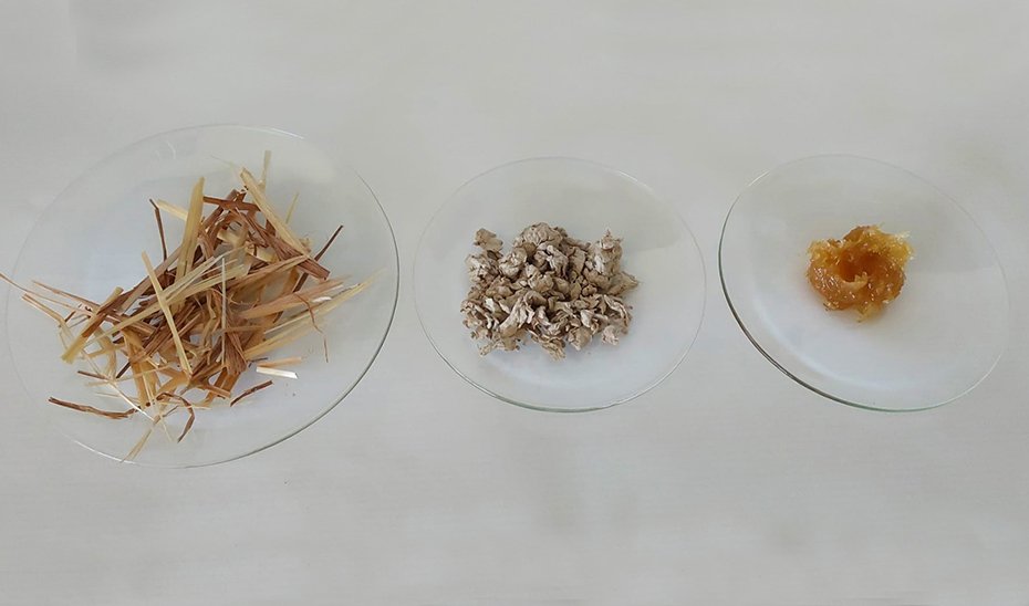 Investigadores andaluces crean lubricantes sostenibles a partir de paja de trigo