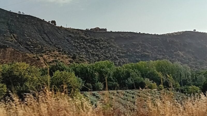 La Guardia Civil investiga origen del incendio en Fuente de la Bicha en Granada.