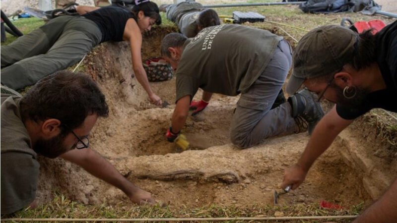 La Junta autoriza y financia la búsqueda de posibles bebés robados en cementerio de Huelva.