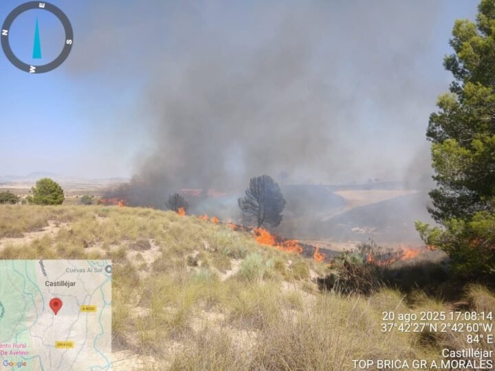 Medios aéreos y terrestres combaten incendio en Benamaurel (Granada)