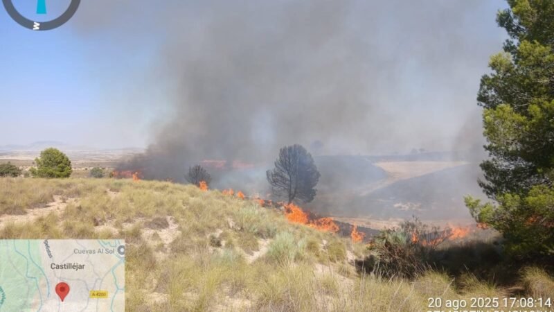 Medios aéreos y terrestres combaten incendio en Benamaurel (Granada)