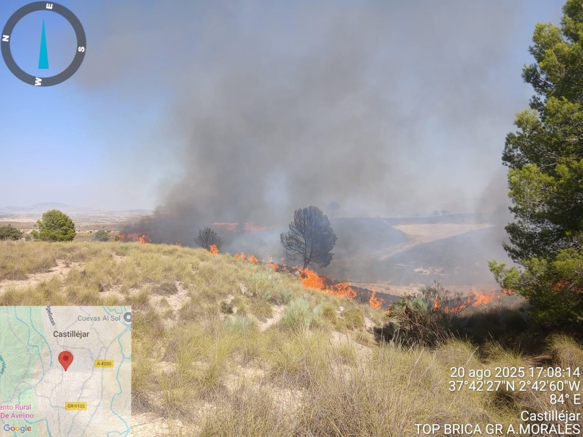 Medios aéreos y terrestres combaten incendio en Benamaurel (Granada)