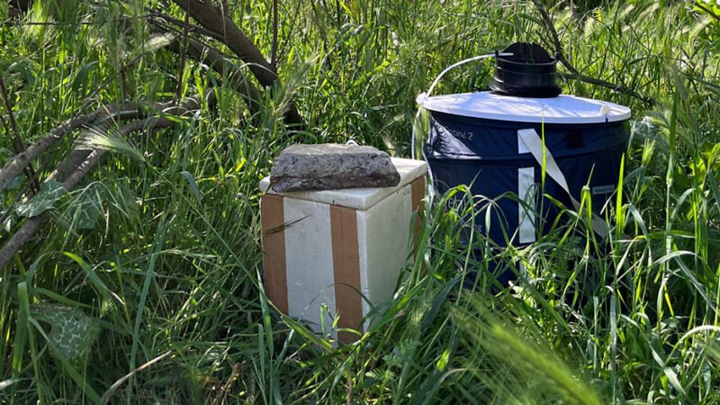 Andalucía detecta circulación del virus del Nilo en mosquitos en 193 trampas.
