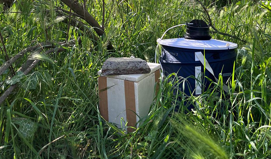 Andalucía detecta circulación del virus del Nilo en mosquitos en 193 trampas.