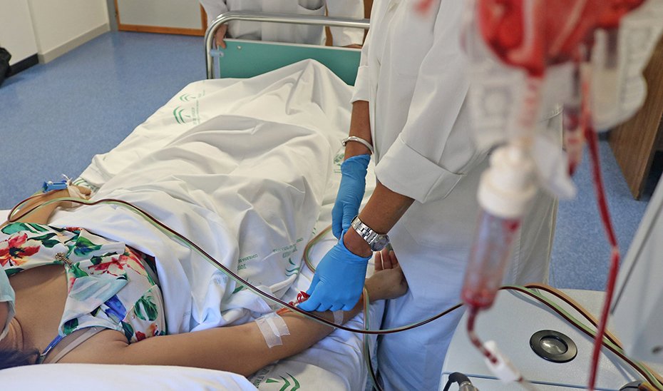 Andalucía sigue liderando la donación de médula ósea con el 23,3% de los donantes a nivel nacional.