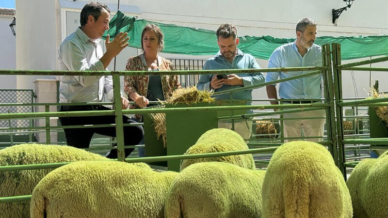 Importancia de la ganadería extensiva en la gestión sostenible del territorio.