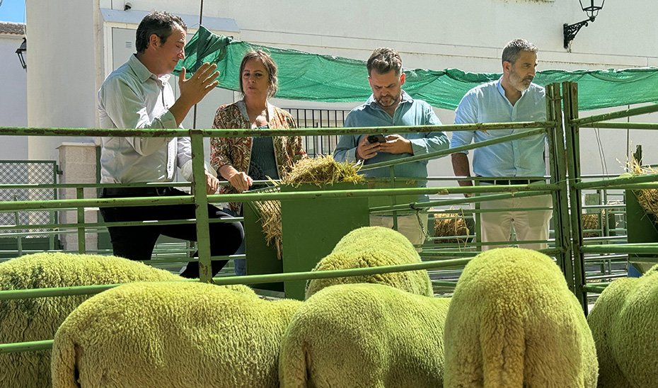 Importancia de la ganadería extensiva en la gestión sostenible del territorio.