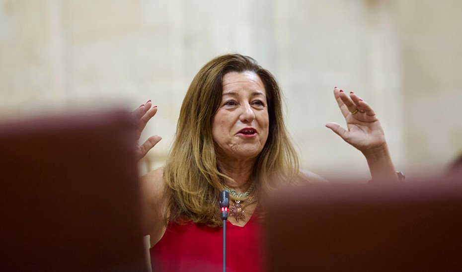 La Junta dispone de terrenos para nuevo IES Los Bermejales en Sevilla.