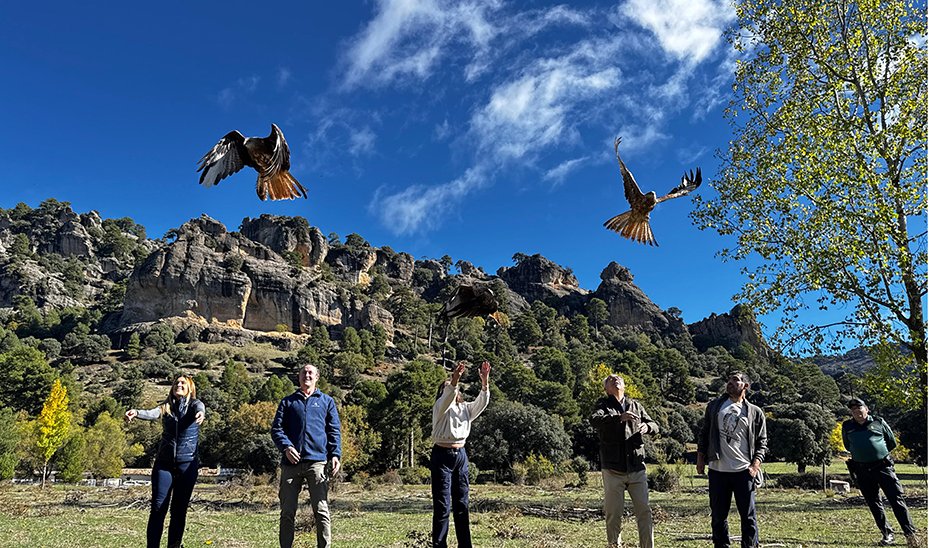 Andalucía libera 23 milanos reales en Cazorla para su conservación