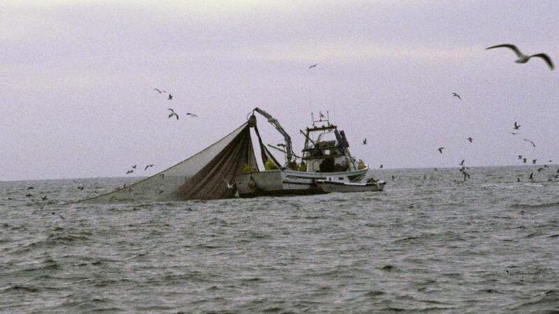 Ayudas de 2,7 millones para parada de flota de arrastre en el Mediterráneo