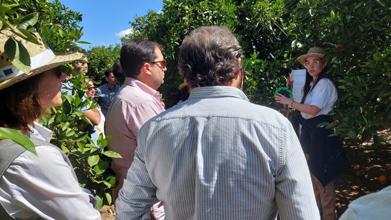 ‘DemoFarm Andalucía’ presenta nueva web para difundir herramientas digitales en el campo.