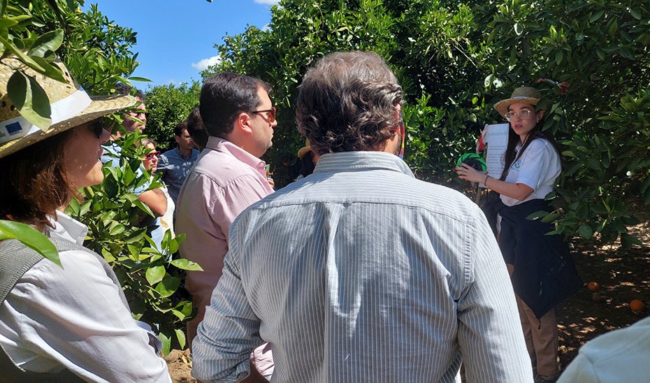 ‘DemoFarm Andalucía’ presenta nueva web para difundir herramientas digitales en el campo.