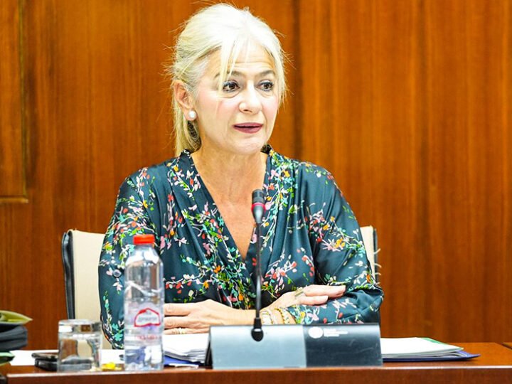 El Gobierno andaluz aprueba el Plan Director de Itálica para obtener reconocimientos internacionales.