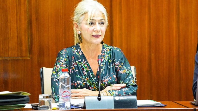 El Gobierno andaluz aprueba el Plan Director de Itálica para obtener reconocimientos internacionales.
