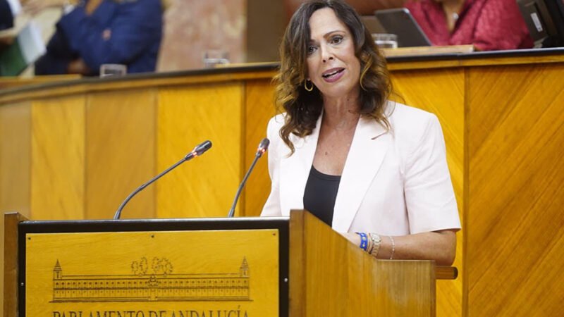 El Proyecto de Ley de Vivienda de Andalucía avanza en el Parlamento tras superar el debate a la totalidad.