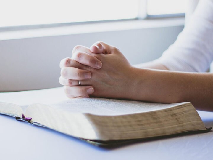IAM lanza taller para mujeres víctimas de violencia de género: afrontando el trauma a través de la escritura.