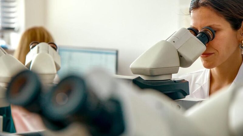 La Junta aumenta en 21 investigadores posdoctorales con una inversión de 2,8 millones.