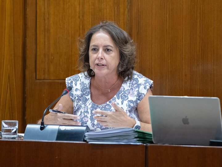 La Junta avanza en sus ayudas para la renaturalización de tierras en la corona norte del Condado de Huelva.