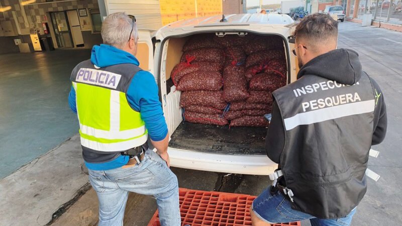 La Junta de Andalucía y Policía Nacional decomisan 1.600 kg de almeja japonesa sin garantía de seguridad alimentaria