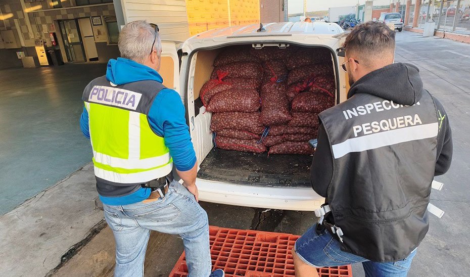La Junta de Andalucía y Policía Nacional decomisan 1.600 kg de almeja japonesa sin garantía de seguridad alimentaria