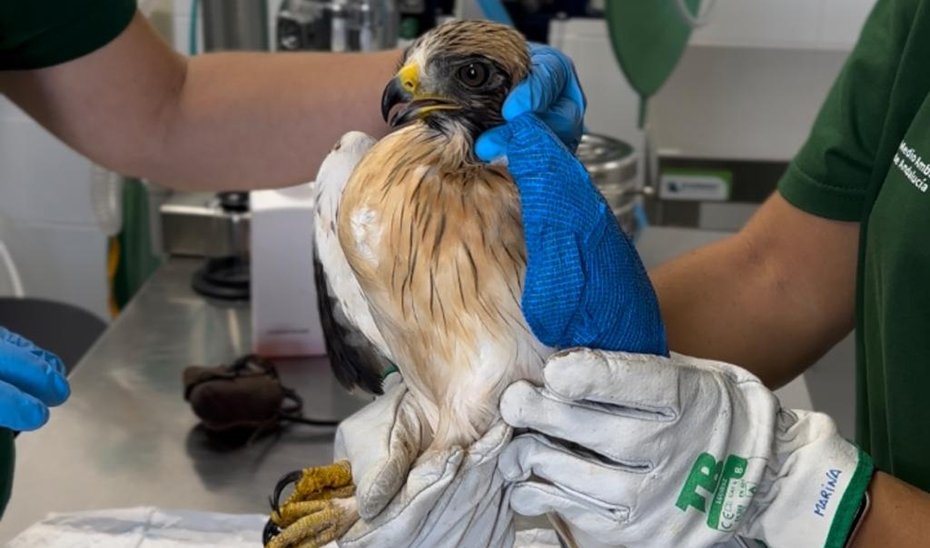 La Junta invierte 1,8 millones en modernizar el CREA Los Villares