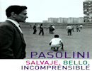 Presentación 11 Festival Cinemística: Passolini, salvaje, bello, incomprensible