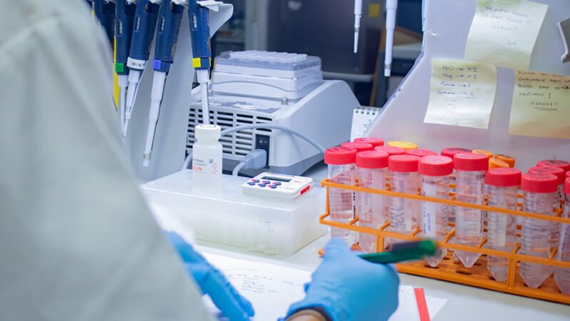 Ayudas de 800.000 euros al Centro de Biología del Desarrollo e Instituto de Matemáticas de la UGR.