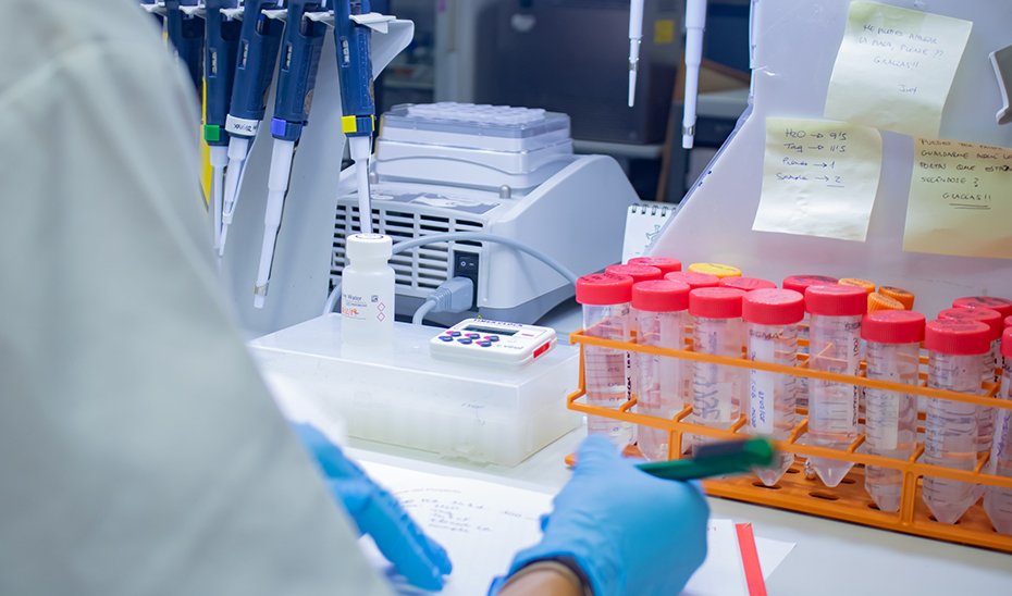 Ayudas de 800.000 euros al Centro de Biología del Desarrollo e Instituto de Matemáticas de la UGR.