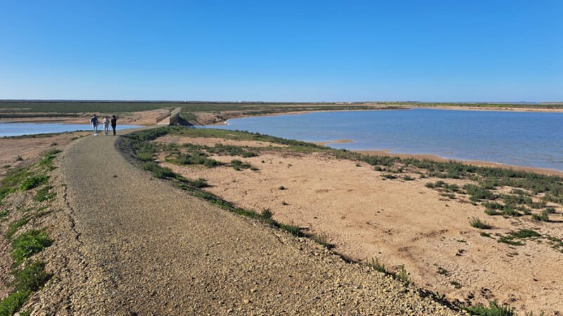 El Comité Andaluz aprueba añadir tres nuevos humedales al Inventario de la comunidad.
