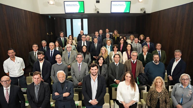 El Consejo de Comunidades Andaluzas: punto de encuentro y colaboración en español